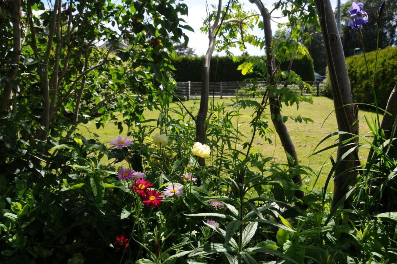 Surfers Guesthouse Asa  Bagian luar foto